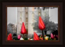 Load image into Gallery viewer, Salt Lake City Temple Beginning Transformation