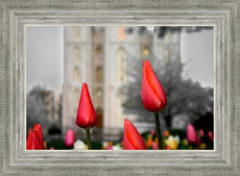 Load image into Gallery viewer, Salt Lake City Temple Beginning Transformation