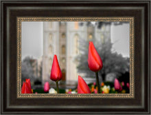 Load image into Gallery viewer, Salt Lake City Temple Beginning Transformation