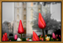 Load image into Gallery viewer, Salt Lake City Temple Beginning Transformation Gallery Wrap