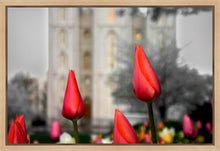 Load image into Gallery viewer, Salt Lake City Temple Beginning Transformation Gallery Wrap