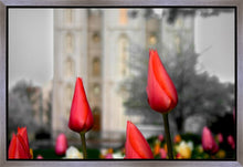 Load image into Gallery viewer, Salt Lake City Temple Beginning Transformation Gallery Wrap