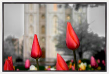 Load image into Gallery viewer, Salt Lake City Temple Beginning Transformation Gallery Wrap
