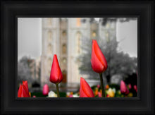 Load image into Gallery viewer, Salt Lake City Temple Beginning Transformation