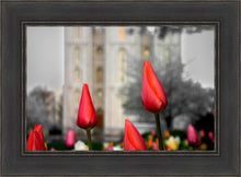 Load image into Gallery viewer, Salt Lake City Temple Beginning Transformation