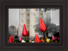 Load image into Gallery viewer, Salt Lake City Temple Beginning Transformation