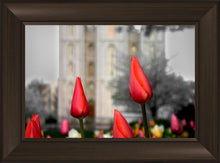 Load image into Gallery viewer, Salt Lake City Temple Beginning Transformation