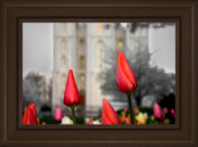 Load image into Gallery viewer, Salt Lake City Temple Beginning Transformation