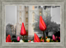 Load image into Gallery viewer, Salt Lake City Temple Beginning Transformation