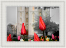 Load image into Gallery viewer, Salt Lake City Temple Beginning Transformation