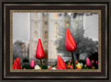 Load image into Gallery viewer, Salt Lake City Temple Beginning Transformation