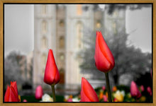 Load image into Gallery viewer, Salt Lake City Temple Beginning Transformation Gallery Wrap