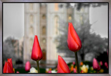 Load image into Gallery viewer, Salt Lake City Temple Beginning Transformation Gallery Wrap