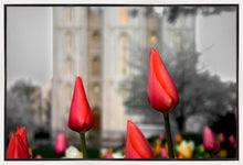 Load image into Gallery viewer, Salt Lake City Temple Beginning Transformation Gallery Wrap
