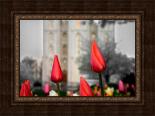 Load image into Gallery viewer, Salt Lake City Temple Beginning Transformation