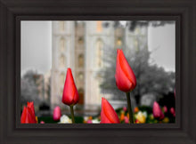 Load image into Gallery viewer, Salt Lake City Temple Beginning Transformation