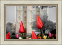 Load image into Gallery viewer, Salt Lake City Temple Beginning Transformation