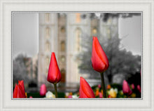 Load image into Gallery viewer, Salt Lake City Temple Beginning Transformation