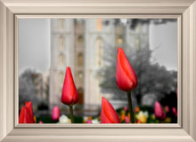 Load image into Gallery viewer, Salt Lake City Temple Beginning Transformation