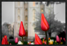 Load image into Gallery viewer, Salt Lake City Temple Beginning Transformation Gallery Wrap