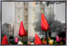Load image into Gallery viewer, Salt Lake City Temple Beginning Transformation Gallery Wrap