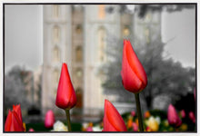 Load image into Gallery viewer, Salt Lake City Temple Beginning Transformation Gallery Wrap