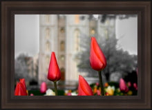 Load image into Gallery viewer, Salt Lake City Temple Beginning Transformation