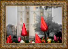 Load image into Gallery viewer, Salt Lake City Temple Beginning Transformation