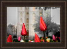 Load image into Gallery viewer, Salt Lake City Temple Beginning Transformation