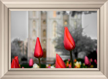 Load image into Gallery viewer, Salt Lake City Temple Beginning Transformation