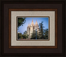 Load image into Gallery viewer, Salt Lake City Temple Early Morning Blessings