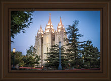 Load image into Gallery viewer, Salt Lake City Temple Early Morning Blessings