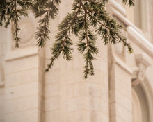 Load image into Gallery viewer, Salt Lake City Temple Even The Smallest Details Gallery Wrap