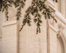 Load image into Gallery viewer, Salt Lake City Temple Even The Smallest Details