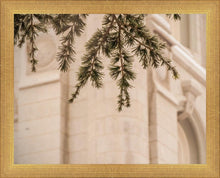 Load image into Gallery viewer, Salt Lake City Temple Even The Smallest Details