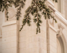 Load image into Gallery viewer, Salt Lake City Temple Even The Smallest Details