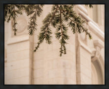 Load image into Gallery viewer, Salt Lake City Temple Even The Smallest Details Gallery Wrap