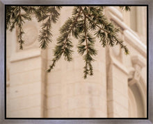 Load image into Gallery viewer, Salt Lake City Temple Even The Smallest Details Gallery Wrap