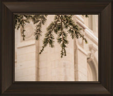 Load image into Gallery viewer, Salt Lake City Temple Even The Smallest Details