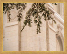 Load image into Gallery viewer, Salt Lake City Temple Even The Smallest Details