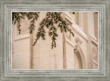 Load image into Gallery viewer, Salt Lake City Temple Even The Smallest Details