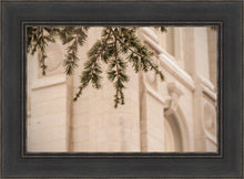 Load image into Gallery viewer, Salt Lake City Temple Even The Smallest Details