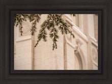 Load image into Gallery viewer, Salt Lake City Temple Even The Smallest Details