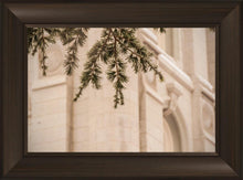 Load image into Gallery viewer, Salt Lake City Temple Even The Smallest Details