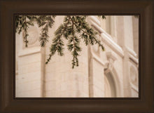Load image into Gallery viewer, Salt Lake City Temple Even The Smallest Details