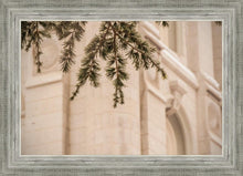 Load image into Gallery viewer, Salt Lake City Temple Even The Smallest Details