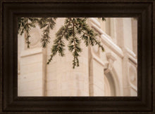 Load image into Gallery viewer, Salt Lake City Temple Even The Smallest Details