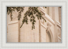 Load image into Gallery viewer, Salt Lake City Temple Even The Smallest Details