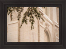 Load image into Gallery viewer, Salt Lake City Temple Even The Smallest Details