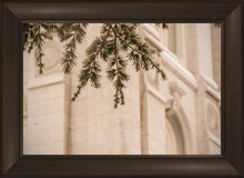 Load image into Gallery viewer, Salt Lake City Temple Even The Smallest Details